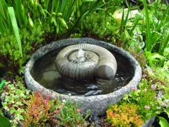 Statues & Sculptures Water Features^Ammonite Fossil Stone Garden Water Feature