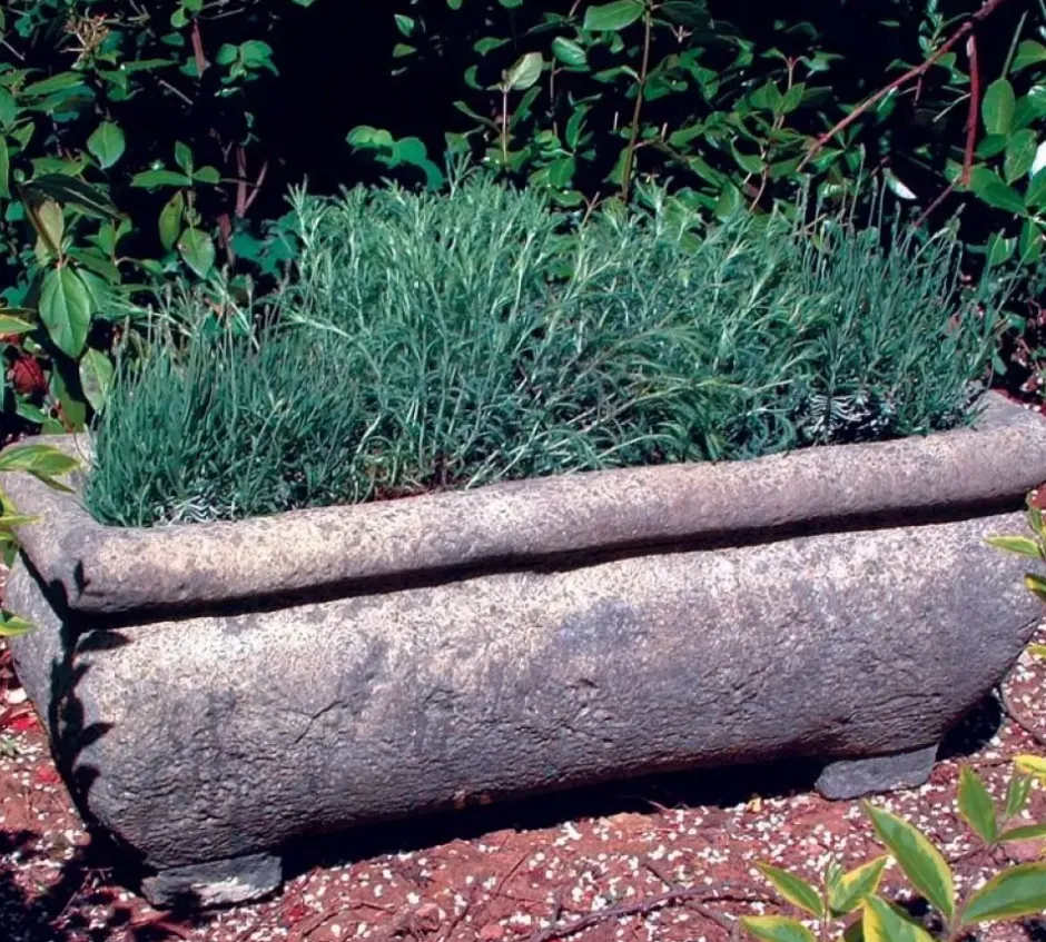 Statues & Sculptures Troughs^Continental Plant Trough 33cm Stone Garden Planter