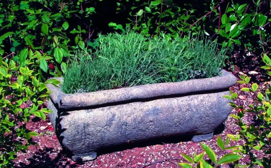 Statues & Sculptures Troughs^Continental Plant Trough 33cm Stone Garden Planter