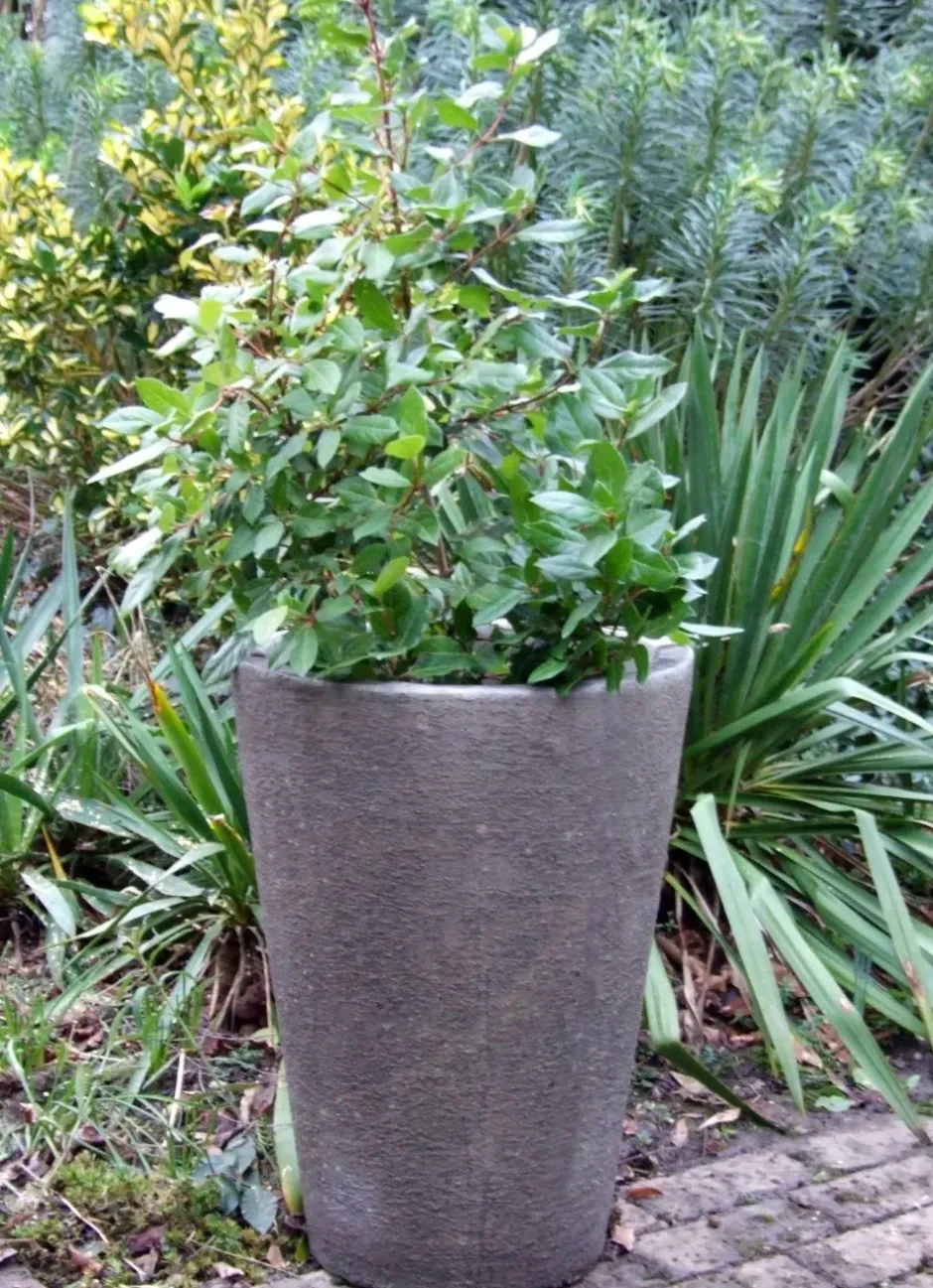 Statues & Sculptures Large|Round^Grand Long Tom Vase Stone Garden Planter