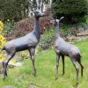 Statues & Sculptures Stags & Deers^Grand Stag & Doe Bronze Metal Garden Statues