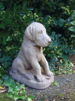 Statues & Sculptures Dogs^Great Dane Puppy Stone Garden Ornament