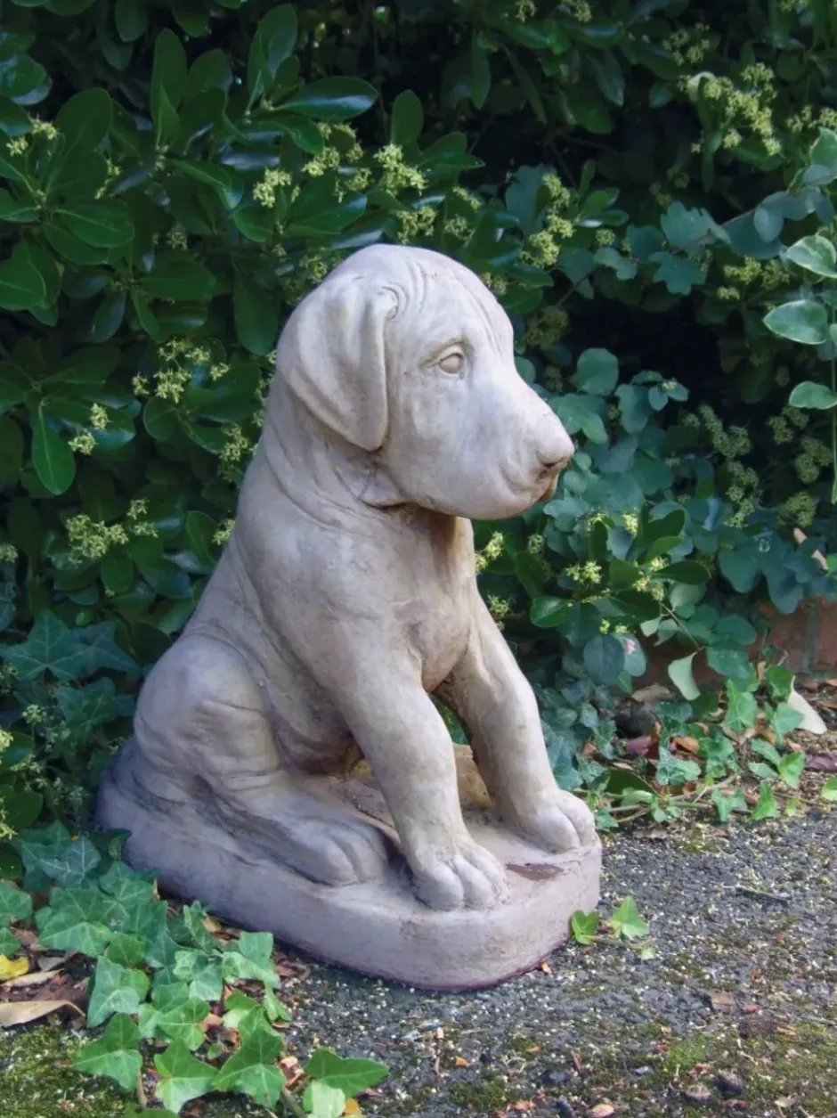 Statues & Sculptures Dogs^Great Dane Puppy Stone Garden Ornament