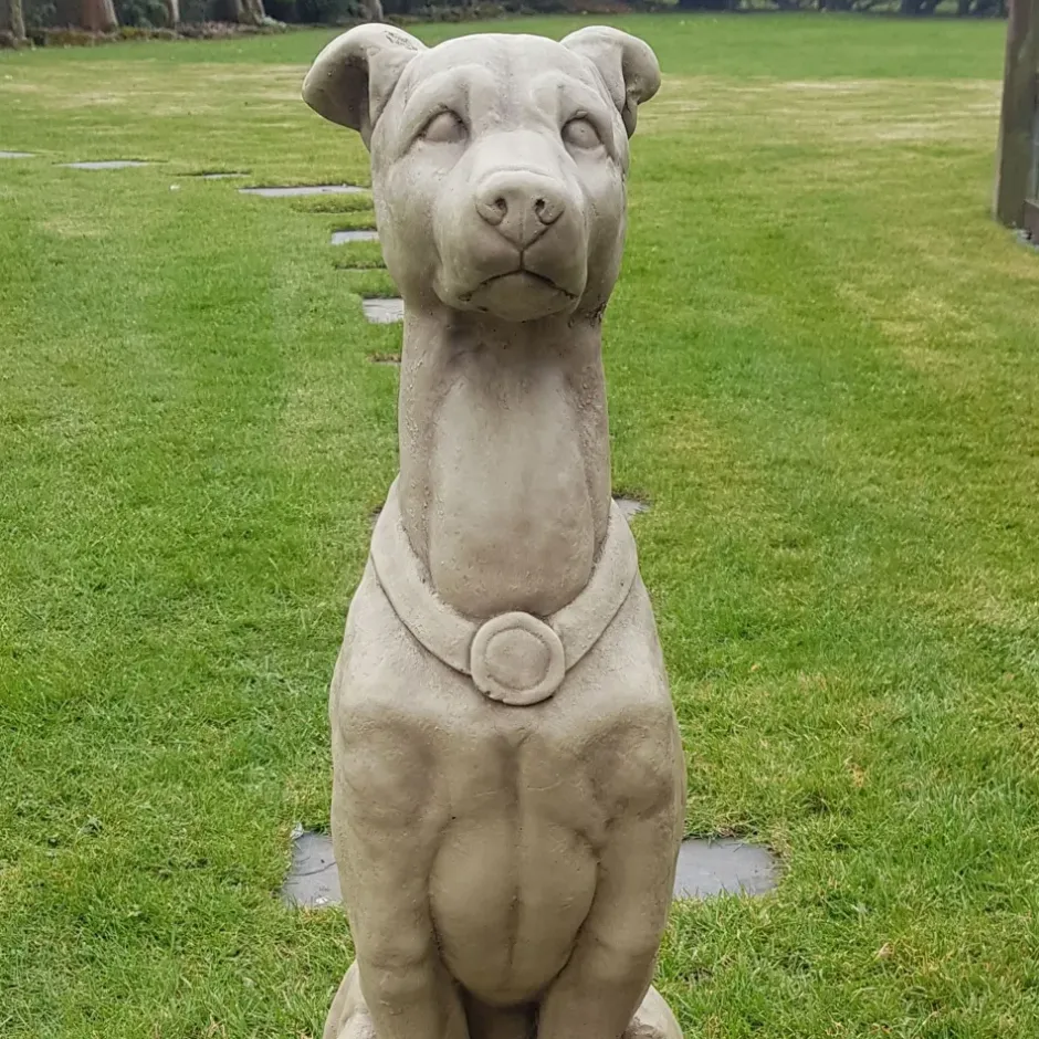 Statues & Sculptures Dogs^Greyhound 90cm Stone Garden Statue