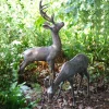 Statues & Sculptures Stags & Deers^Large Stag & Doe Deer Bronze Garden Statues