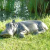 Statues & Sculptures Wildlife^Lazy Hippo Bronze Metal Garden Statue