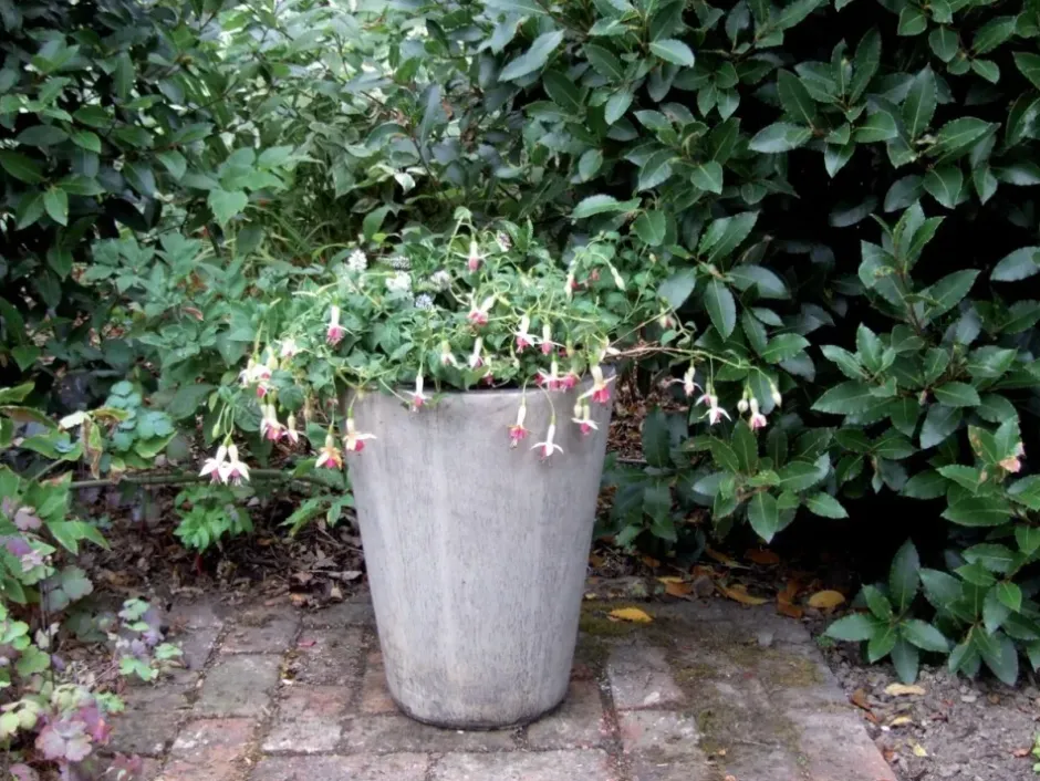Statues & Sculptures Large|Round^Long Tom Vase Stone Garden Planter