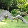Statues & Sculptures Peacocks^Majestic Peacocks Life-Size Bronze Metal Garden Statues