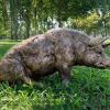 Statues & Sculptures Farm^Majestic Pig 36cm Bronze Resin Garden Ornament