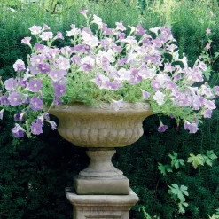 Statues & Sculptures Large|Round^Victorian Medium Stone Garden Planter on Pedestal
