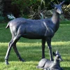 Statues & Sculptures Stags & Deers^Wild Doe & Fawn 103cm Bronze Metal Garden Statues