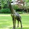 Statues & Sculptures Wildlife|Modern^Wild Giraffe 205cm Bronze Metal Garden Statue
