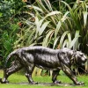Statues & Sculptures Wildlife|Lions^Wild Tiger 51cm Bronze Metal Garden Statue